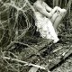 the SCENT of DEPARTURE editorial image by Wolf189 on FashionDailyMag