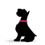 LEGITIMUTT black and white 1 FashionDailyMag