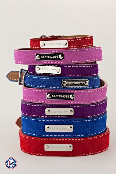Legitimutt collars in BOLD colors for the doggies FashionDailyMag loves