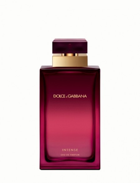 INTENSE by Dolce & Gabbana | Fashion Daily Mag