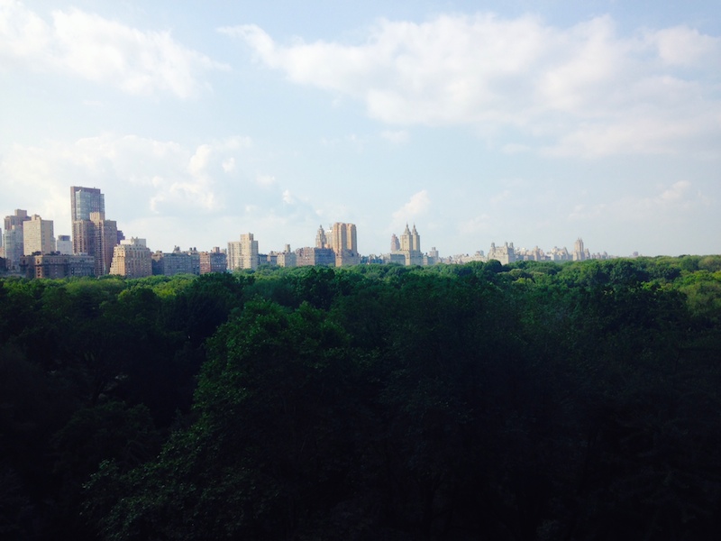 view from Dr. Rosen Plastic surgery group NYC FashionDailyMag