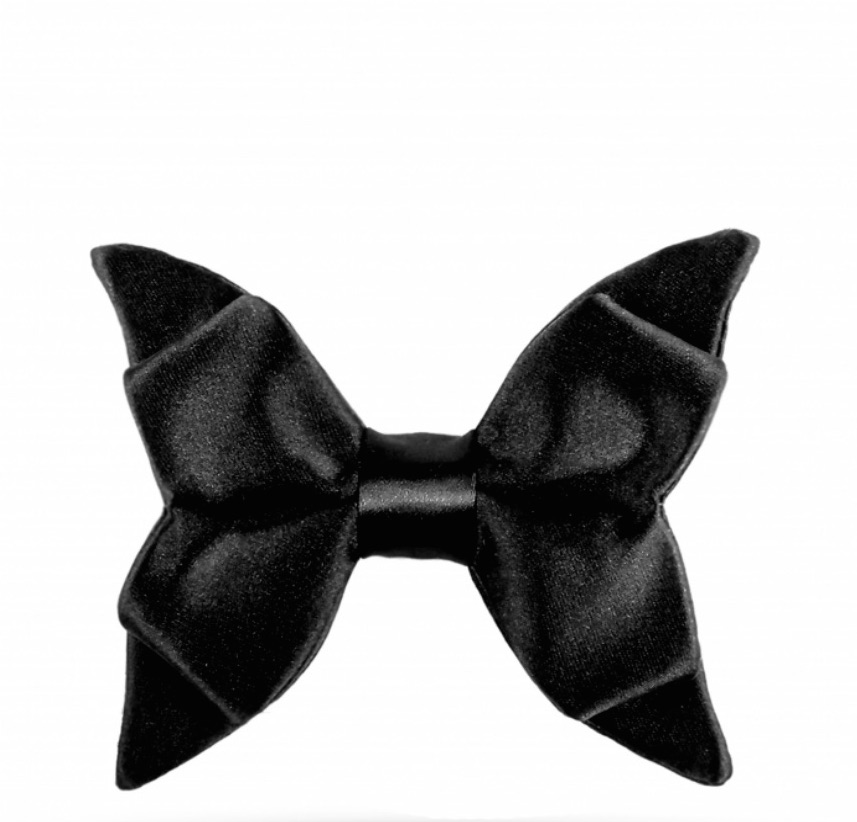 maison-f-noeud-papillon-butterfly-bowtie-fashiondailymag-man-guide-2016