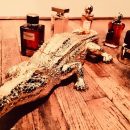 CROC of GOLD GIFTS 2017